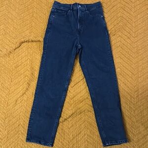 Women’s Express Super High Rise Mom Jean